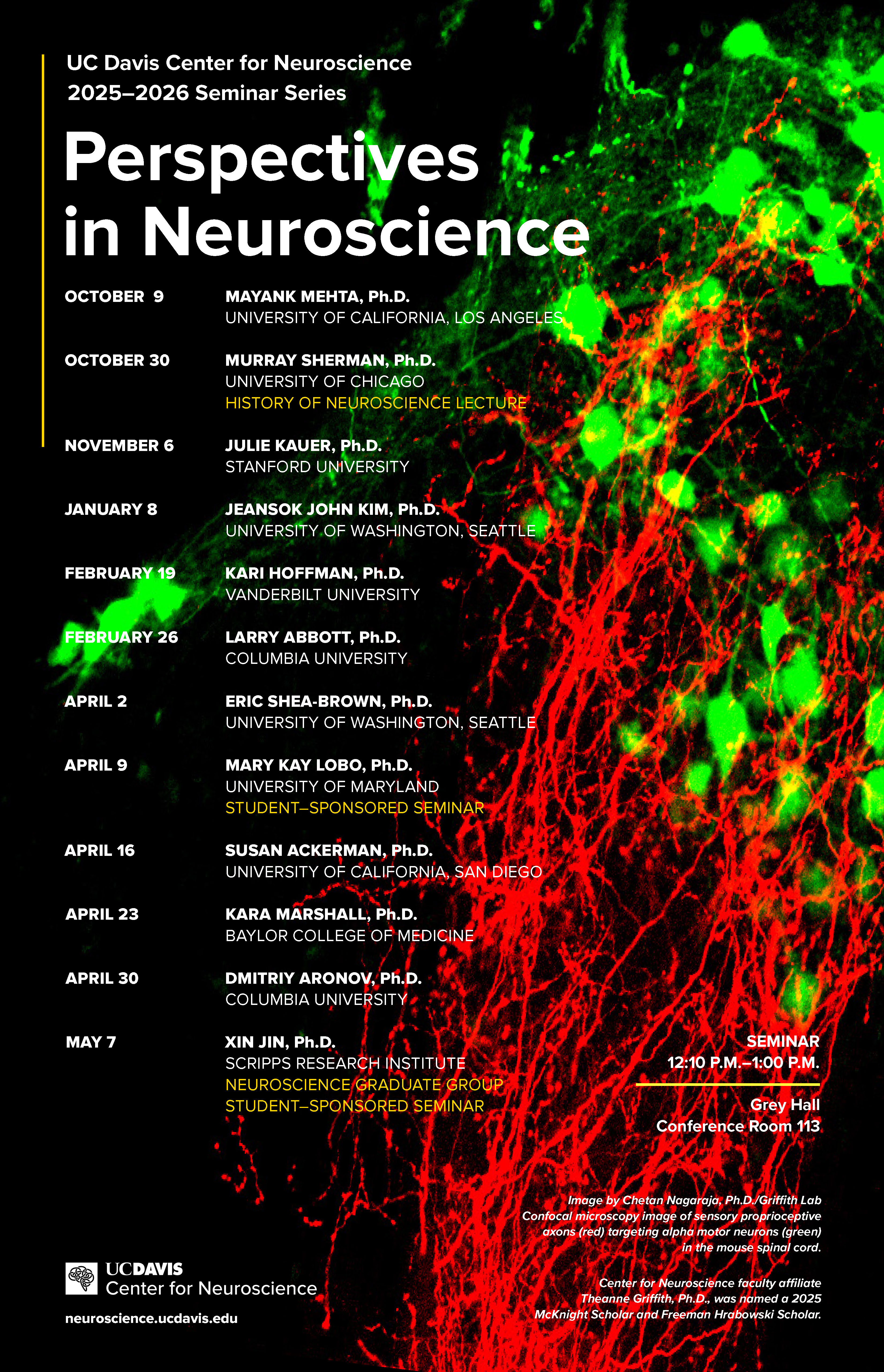 CNS Perspectives flyer