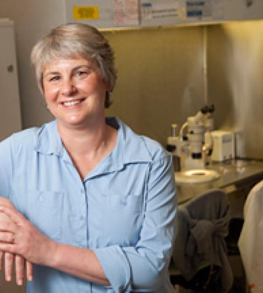 Pamela J. Lein