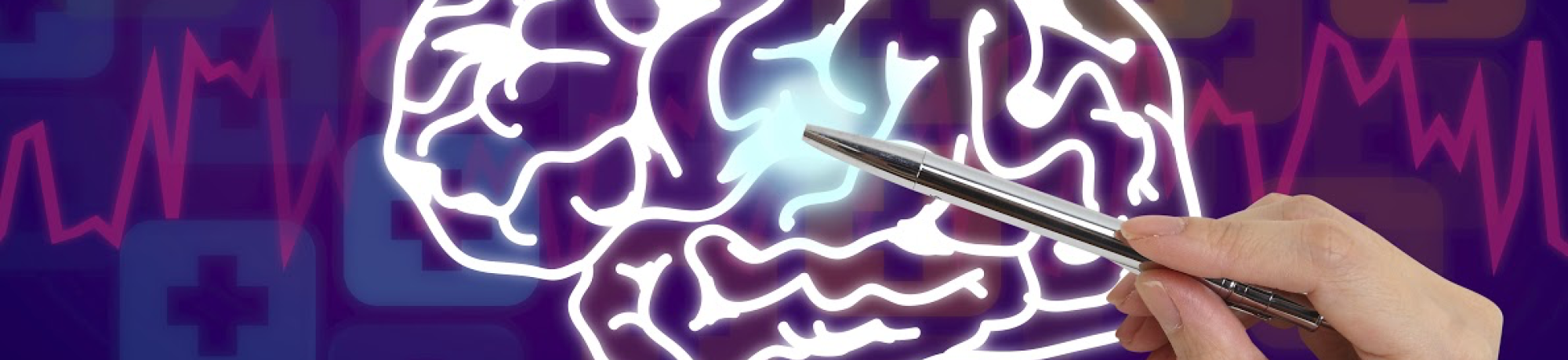 Brain