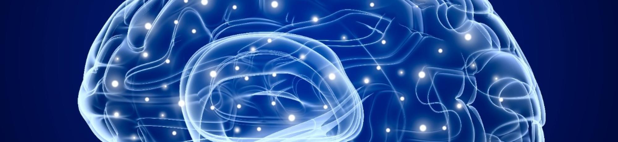 Brain Image
